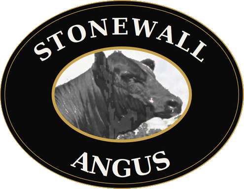 Stone Wall Angus